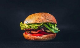 咸鱼小汉堡爆料视频大全,揭秘幕后故事与精彩瞬间